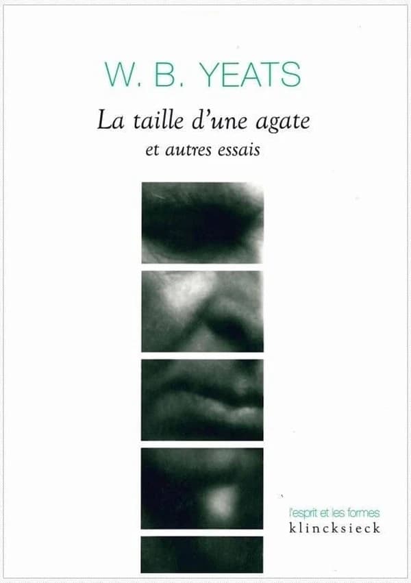 La Taille d'une agate : et autres essais
