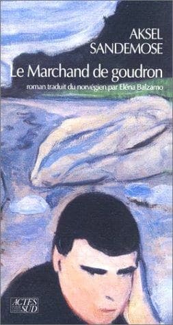 Versant Sud : roman