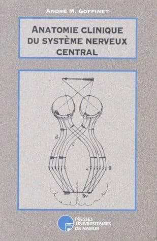 Anatomie clinique du système nerveux central