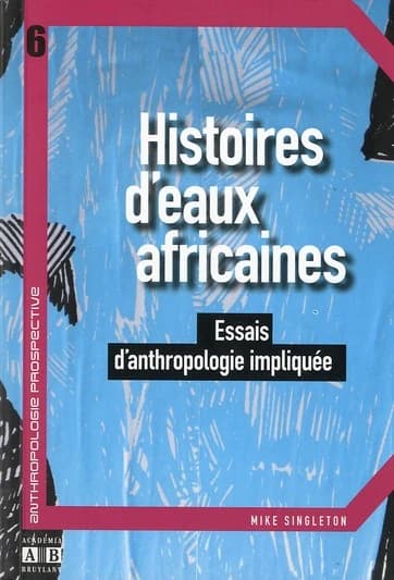 Histoires d'eaux africaines : essais d'anthropologie impliquée