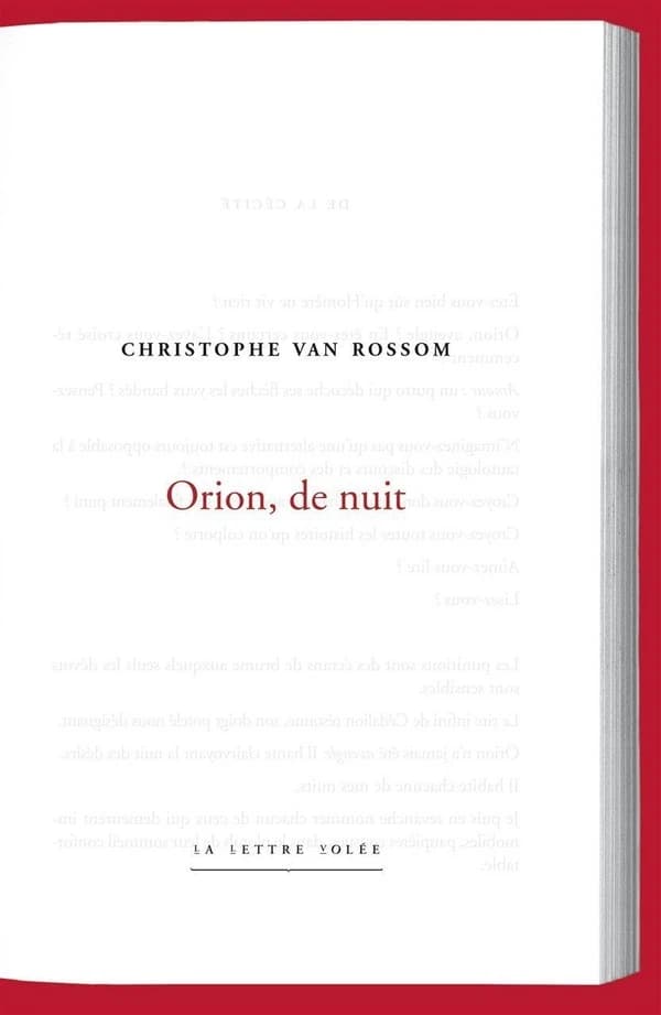 Orion, de nuit