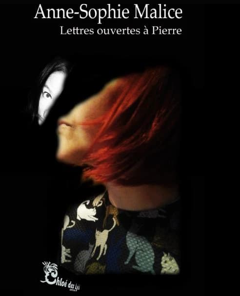 Lettres ouvertes à Pierre