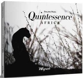 Quintessence t.1 : Africa