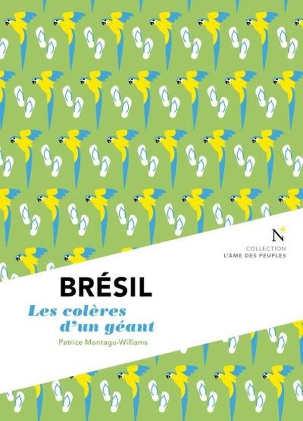 Brésil : les colères d'un géant (3 éd.) Patrice Montagu-Williams