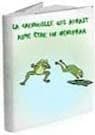 Le petit crapaud et le nénuphar...