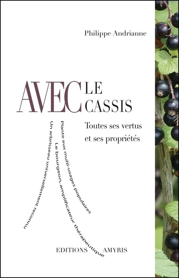 Avec le cassis ; toutes ses vertus et ses propriétés