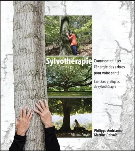 Sylvothérapie : comment utiliser l'énergie des arbres pour votre santé