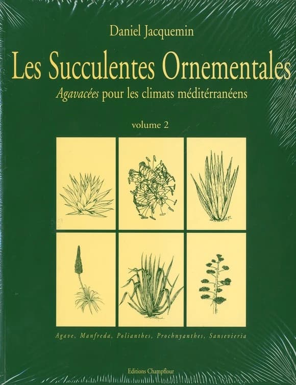 Succulentes ornementales : Agavacées pour les climats méditerranéens. 2
