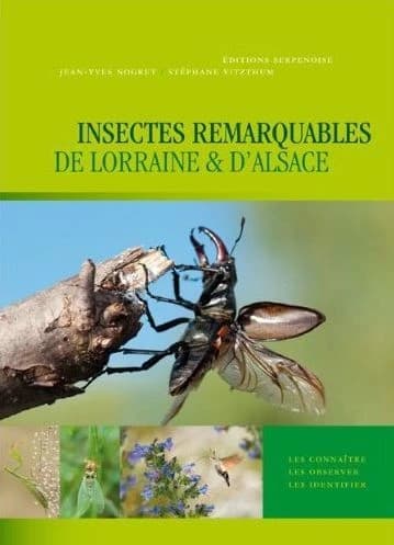 Insectes remarquables de Lorraine & d'Alsace