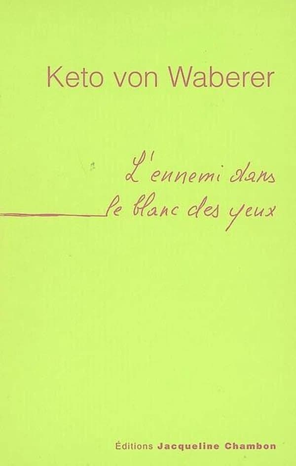 L'ennemi dans le blanc des yeux : quatre histoires d'amour
