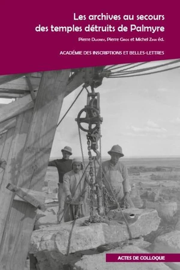 Les archives au secours des temples détruits de Palmyre : actes du colloque international... à l'Académie des inscriptions et belles-lettres, Palais de l'Institut, [Paris], le 19 mai 2017