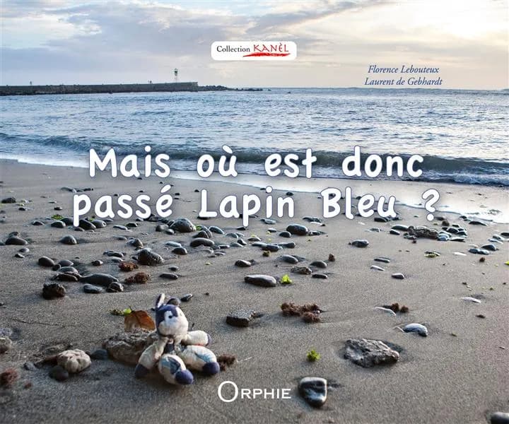 Mais où est donc passé Lapin bleu ?
