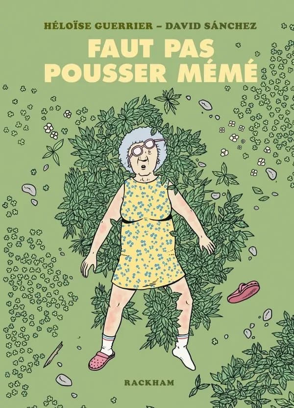Faut pas pousser mémé : petit dictionnaire illustré des expressions françaises pure souche (Éd. trilingue français-anglais-espagnol) Héloïse Guerrier ; [dessins de] David Sánchez ; traductions d'Alejandra Carrasco Rahal et Eileen Lesaulnier