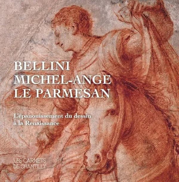 Bellini, Michel-Ange, Le Parmesan : l'épanouissement du dessin à la Renaissance : [exposition, Chantilly, Musée Condé, Cabinet d'arts graphiques, 24 mars-20 août 2017]
