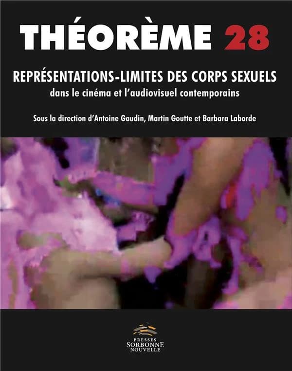 Représentations-limites des corps sexuels dans le cinéma et l'audiovisuel contemporains