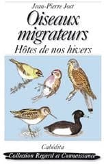 Oiseaux migrateurs : hôtes de nos hivers