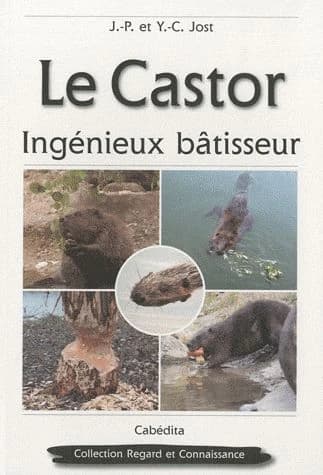 Le castor: ingénieux bâtisseur