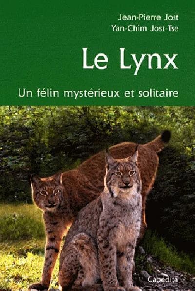 Le lynx : chasseur discret et solitaire