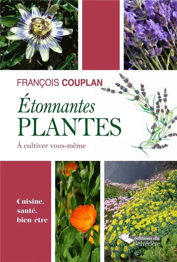 Etonnantes plantes à cultiver vous-même : Cuisine, santé, bien-être