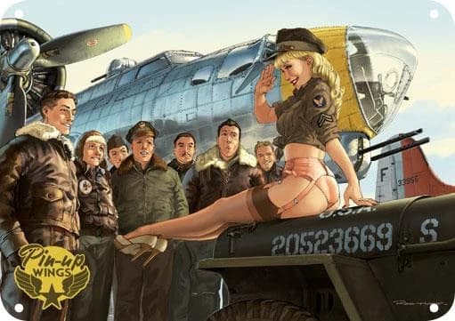 Pin-up wings : B17 : plaque métallique