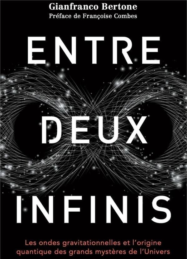 Entre deux infinis : les ondes gravitationnelles et l'origine quantique des plus grands mystères de l'Univers