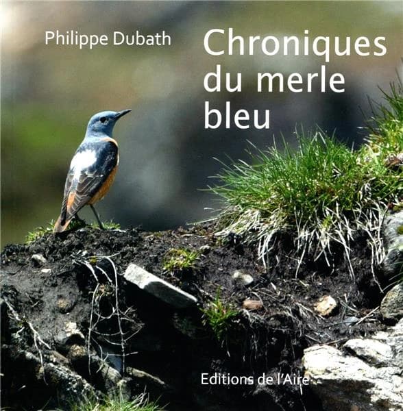 CHRONIQUES DU MERLE BLEU