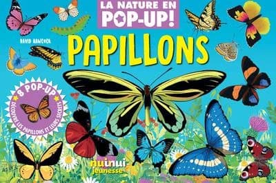 Papillons