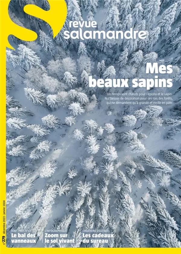La salamandre n.279 : Décembre 2023