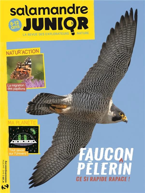 La salamandre junior n.153