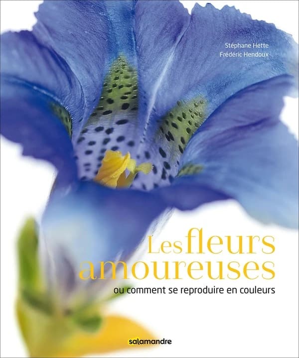 Les fleurs amoureuses : ou comment se reproduire en couleurs