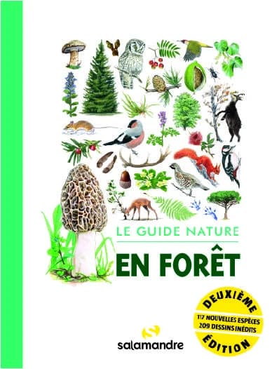 En forêt : le guide nature (2e éd.) ouvrage collectif dirigé par Alessandro Staehli ; textes, Aino Adriaens, Mirko D'Inverno, Sophie Giriens... [et al.] ; dessins, Andrea Ambrogio, Cécile Aquisti, Gaëtan du Chatenet... [et al.]
