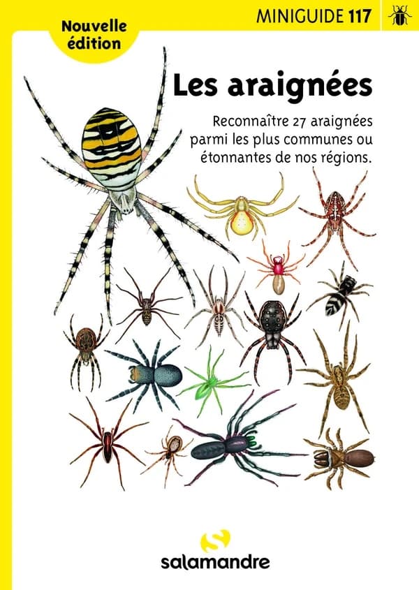 Les araignées