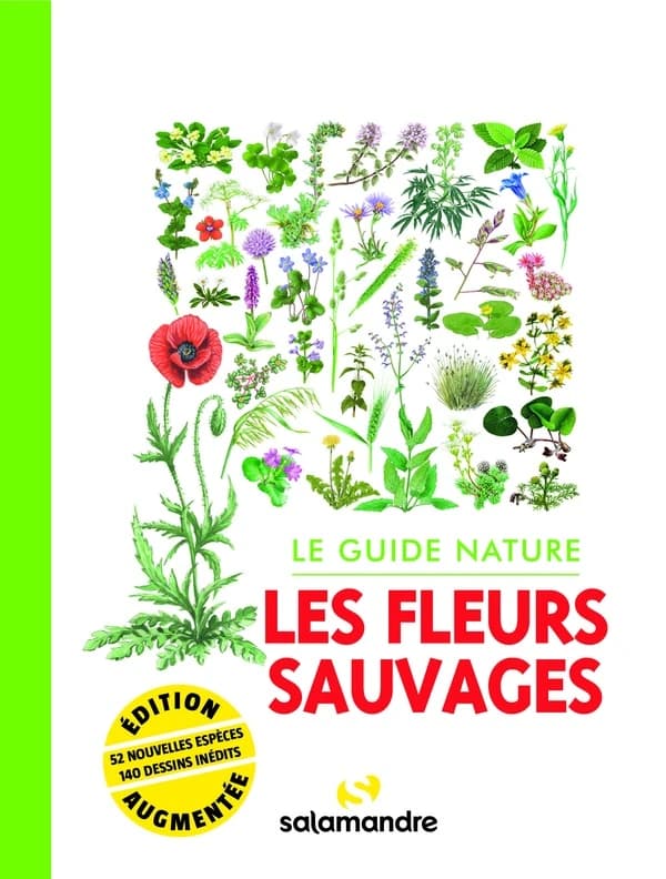 Les fleurs sauvages (2e éd. revue et complétée) ouvrage collectif dirigé par Alessandro Staehli et Franck Bas ; textes, Sophie Giriens, Daniel Jeanmonod, Sofia Matos... [et al.] ; dessins, Maeva Arnold, Lorenzo Dotti, Claire Felloni... [et al.]