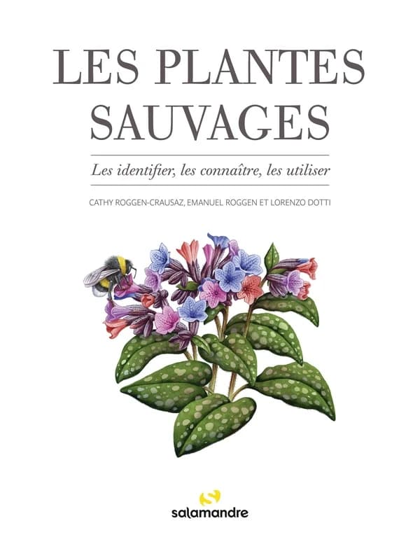 Les plantes sauvages : Les identifier, les connaître, les utiliser