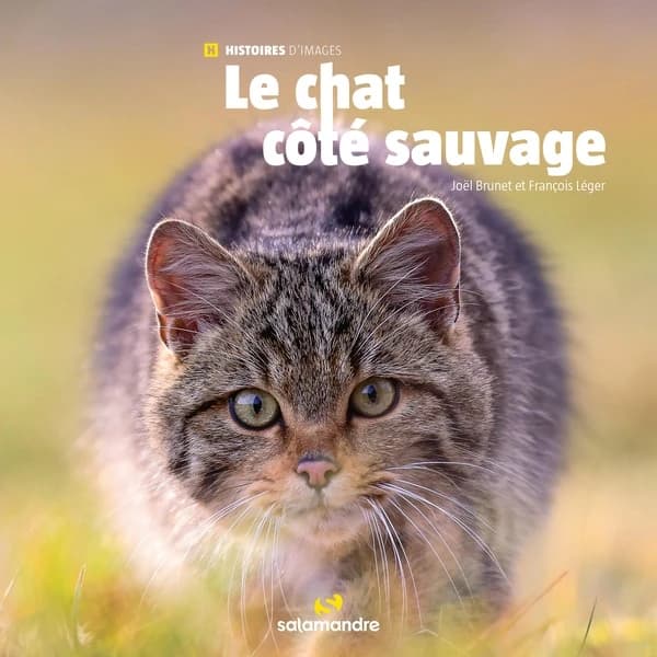 Le chat côté sauvage (Première édition) [photographies de] Joël Brunet et [textes de] François Léger