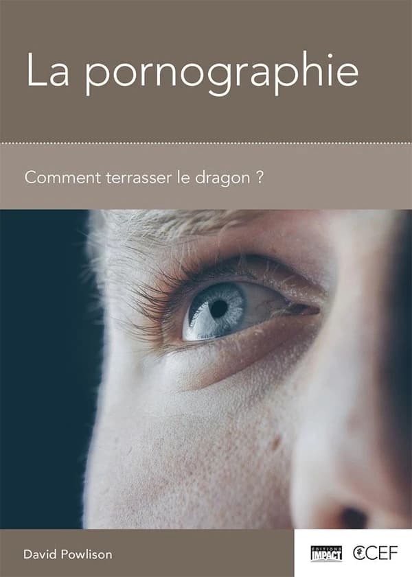La pornographie ; comment terrasser le dragon ?