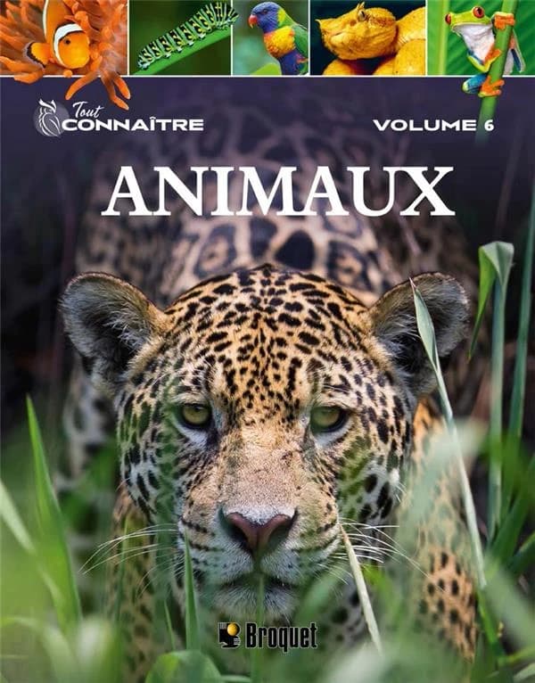 Tout connaître Tome 6 : animaux