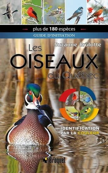 Oiseaux du Québec : identification par la couleur