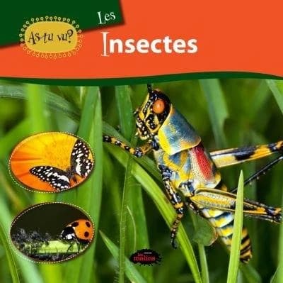 Les insectes