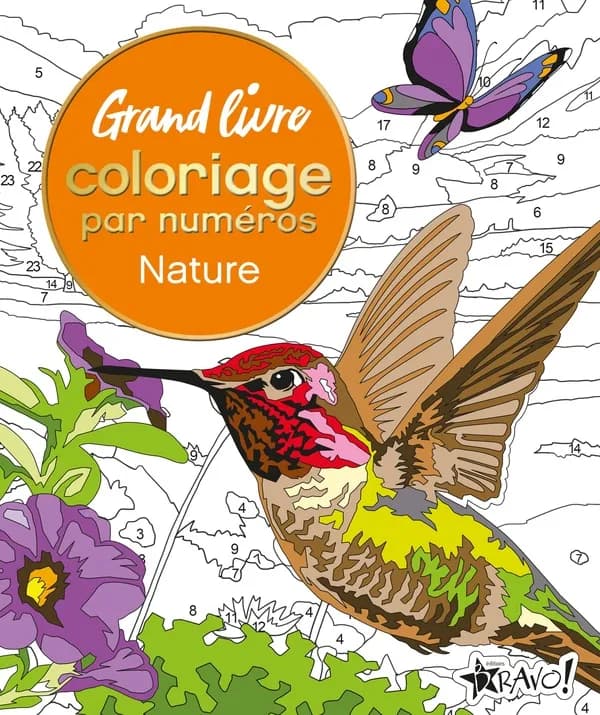 Grand livre coloriage par numéros