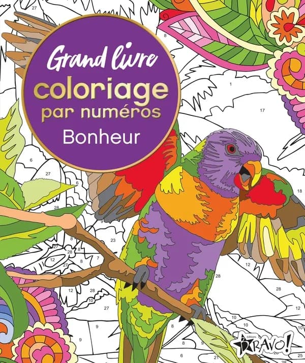 Grand livre coloriage par numéros : Bonheur