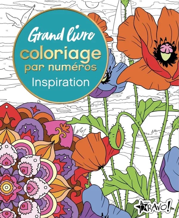 Grand livre coloriage par numéros : Inspiration