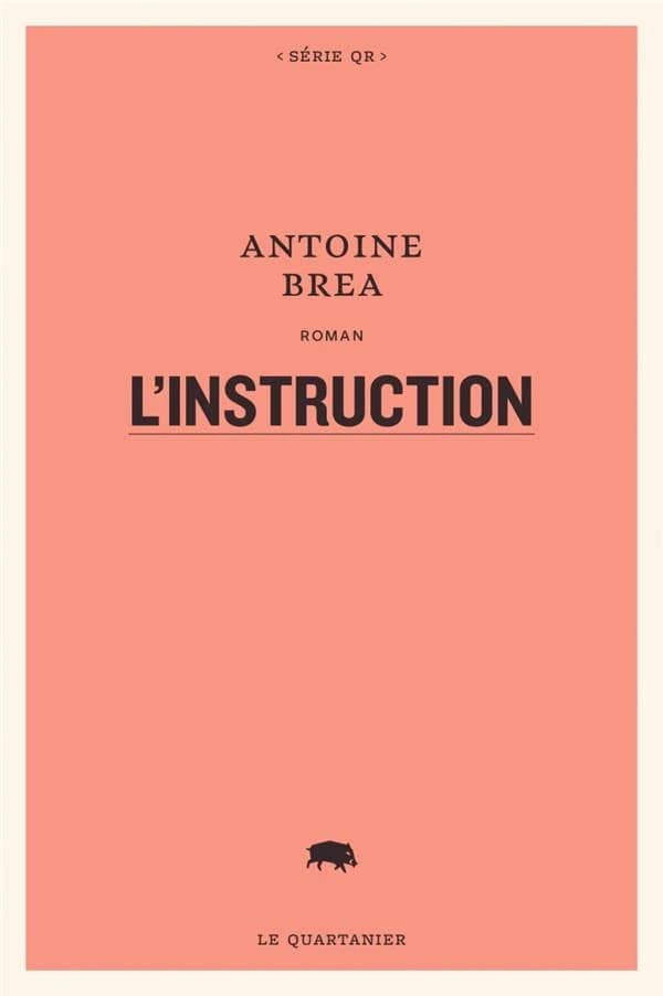 L'instruction : roman
