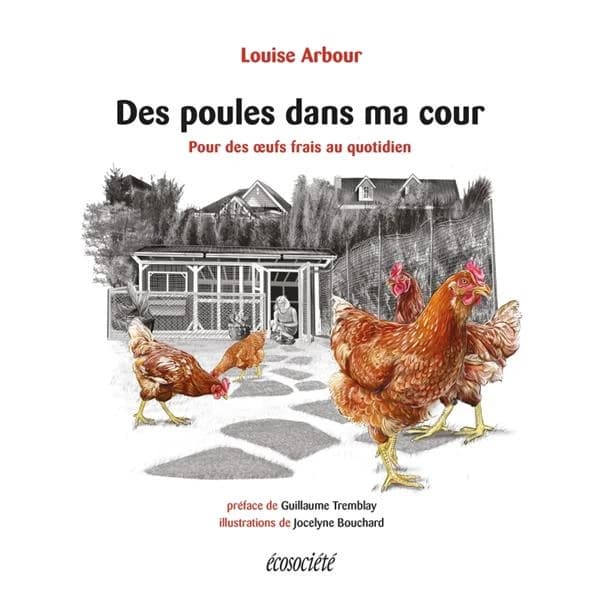 Des poules dans ma cour ; pour des oeufs frais au quotidien