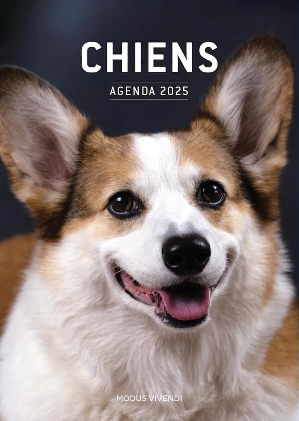 Chiens : Agenda (édition 2025)