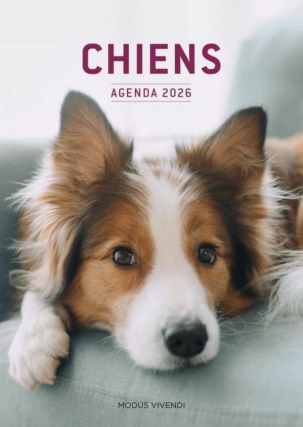 Chiens (édition 2026)