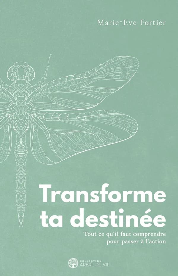Transforme ta destinée : tout ce qu'il faut comprendre pour passer à l'action