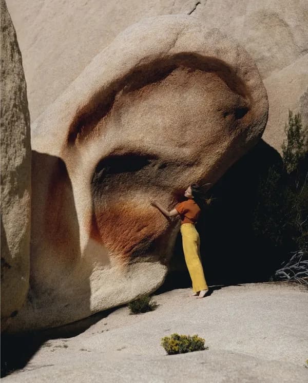 Maia Flore, Fou rire, rêve fou : [exposition, Saint-Pierre-de-Varengeville, Centre d'art contemporain de la Matmut-Daniel Havis, 6 juillet-6 octobre 2024]