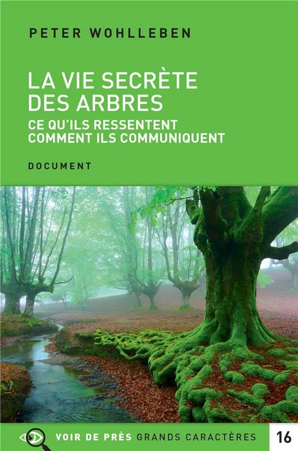 La vie secrète des arbres ce qu'ils ressentent, comment ils communiquent, un monde inconnu s'ouvre à nous