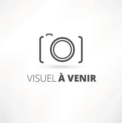 Les aventures du citoyen Jean Conan de Guingamp
